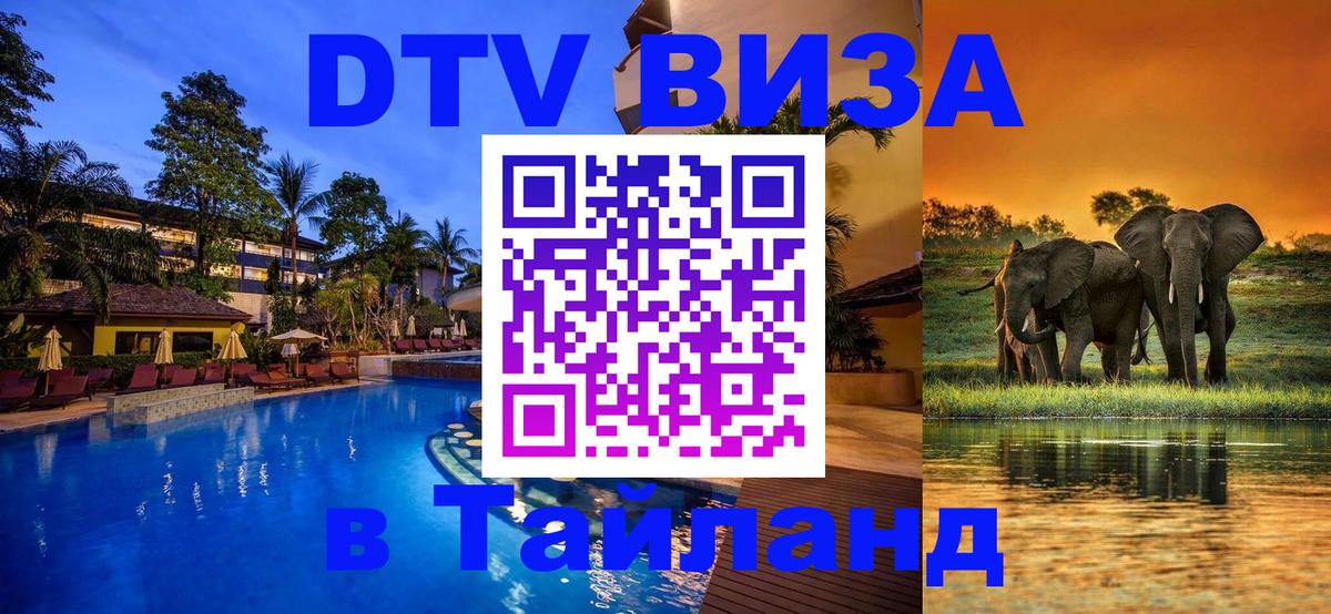 Оформление DTV визы под ключ: стоимость и тарифы, только загранпаспорт - 03.10.2025 